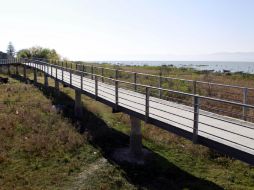 Vista de la zona del malecón de San Antonio Tlayacapan, en Chapala.  /