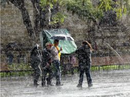 El fenómeno meteorológico provocará rachas de viento de 60 y 80 kilometros por hora. ARCHIVO /