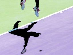 En los años 60, el capitalino Rafael Osuna puso en alto el nombre México en el tenis.  /