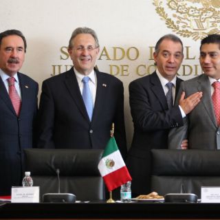 Gobierno de Obama espera éxito de plan Michoacán: Wayne