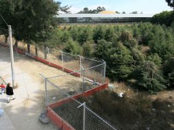 Con 16 votos a favor y la ausencia del PAN, el cabildo de Guadalajara avaló la venta del terreno donde se localiza el planetario. ARCHIVO /