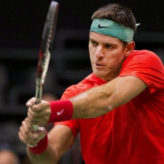 Juan Martín del Potro, a cuartos de final en Rotterdam