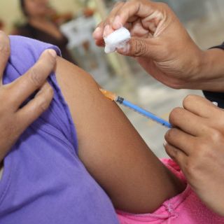 Defunciones por influenza llegan a 532, reporta SSa