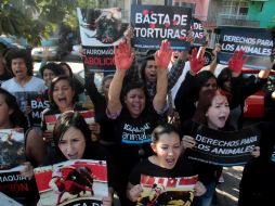 Los manifestantes gritan consignas como ¡No es diversión, es una tortura!.  /