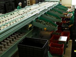 Señalan que el país busca alternativas 'más favorables' a su comercio con México. ARCHIVO /