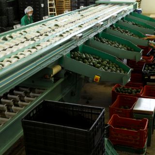 Paraguay aboga por concluir TLC con México