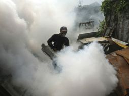 En el municipio se refuerzan las nebulizaciones y las tareas de Patio Limpio. ARCHIVO /