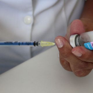 Sobre la mesa, universalidad de vacunación contra influenza