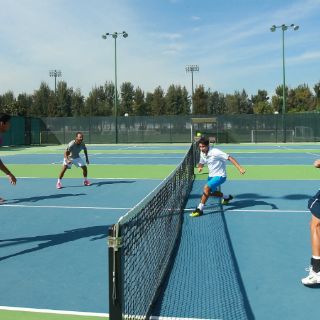 Jalisco quiere la Copa Davis