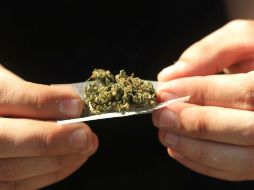 La iniciativa pretende  derogar el delito de prescripción médica y permitir el uso terapéutico de cannabis. ARCHIVO /