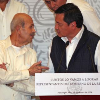 Miembros de autodefensas son 'gente sana y positiva': Vallejo