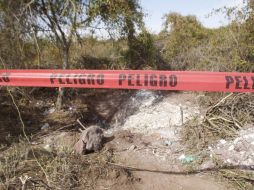 Los primeros cuerpos con encontrados en la brecha Los Agaves rumbo a Cajititlán, cerca del fraccionamiento Arvento. ARCHIVO /