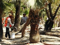 El parque lineal tendrá una inversión de 20 millones pesos provenientes del fondo metropolitano. ARCHIVO /