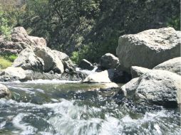 No es mala idea partir temprano para disfrutar de una mañana fresca en el bosque.  /