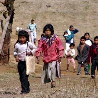 Lenguas mexicanera y tepehuana, en riesgo de desaparecer