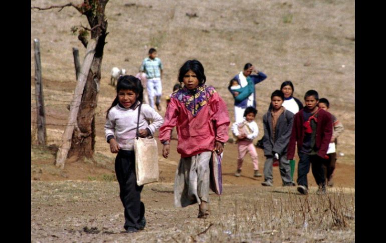 De 190 viviendas sólo tres usan la lengua tepehuana, subraya Secundino Soto Carrillo, gobernador tepehuano de San Andrés Milpillas. ARCHIVO /