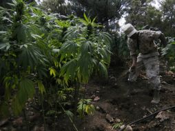 'La gran ganancia es que estamos discutiendo este tema', afirma el senador. ARCHIVO /