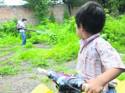 Contra el mosco. Un trabajador de la Secretaría de Salud fumiga un predio descuidado para evitar la proliferación del virus.  /