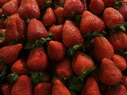 La capacidad antioxidante de las fresas ya había sido demostrada por diversos estudios. ARCHIVO /