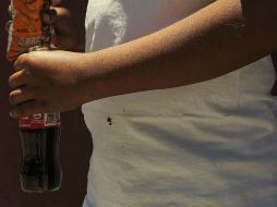 Buscan prevenir casos de diabetes e hipertensión infantil. ARCHIVO /