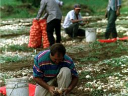 La intensa temporada de lluvias, afecta a un total de 60 mil familias, de las cuales casi 50 mil están dedicadas a la agricultura. ARCHIVO /