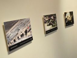 Imagen de la exposición en Palacio de Gobierno.  /