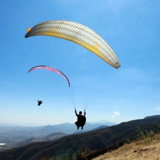 Parapentes sobrevuelan el cielo de Tapalpa