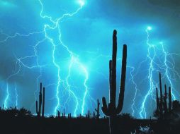 Naturaleza. Una magnífica escena de contrastes de luz y oscuridad; aunque es grande su belleza, lo mejor es tomar distancia.  /