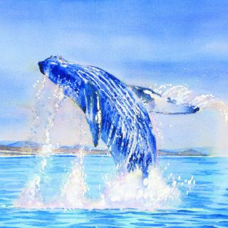 Un paraíso de enormes mamíferos