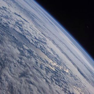 Celebran en redes triunfo mexicano en los Oscar