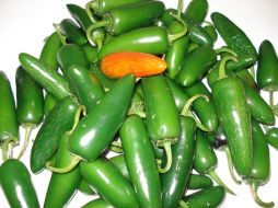 El estudio también ayudará a saber cómo el chile se domesticó y se esparció por todo el mundo. ARCHIVO /