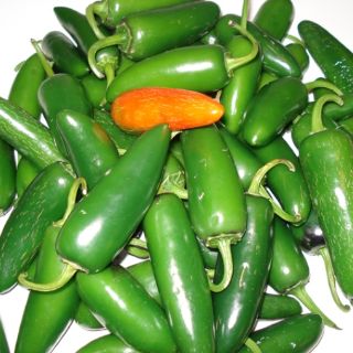 Científicos mexicanos secuencian genoma del chile