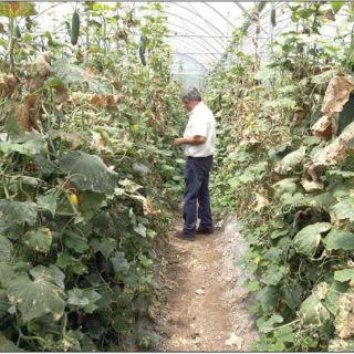 Guadalajara, en clúster global de smart cities