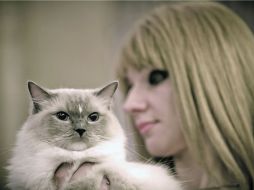 Fijación. Estudios demuestran que la facilidad de interacción entre los gatos y las mujeres fortalece los lazos entre ellos. AP /
