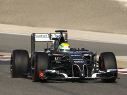 El mexicano Esteban Gutiérrez enfrentará su segunda temporada en el máximo circuito del automovilismo. EFE /