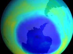 Los rayos ultraviolestas pueden causar cáncer en las personas y problemas de reproducción en los animales. ARCHIVO /