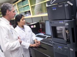 Los científicos vieron que aquellas personas que desarrollaron alzheimer, tienen niveles bajos de fosfolípidos. ESPECIAL /