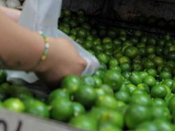 En Tijuana ofertaron el alimento en su mayor precio de todo el país.  /