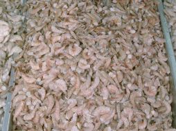 En esta temporada, el camarón alcanzó un precio de hasta 265 pesos en el mercado internacional. ARCHIVO /