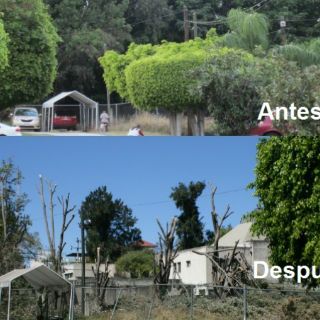 Podan indiscriminadamente, Guadalajara dice que era necesario