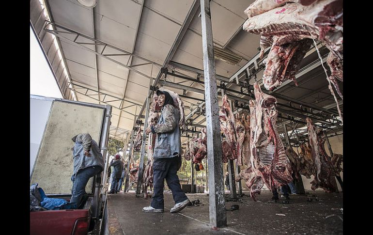 Los rastros instalados en Etzatlán y Jocotepec operan con inversión privada, el resto con recursos estatales y municipales.  /