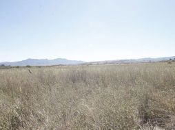 Las escrituras del predio no han sido recibidas por Iprovipe y directivos desviaron 50 MDP que estaban destinados a esta adquisición. ARCHIVO /