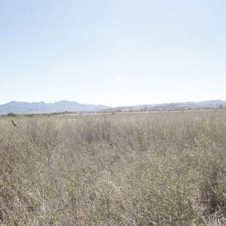 En vilo, vivienda en terreno de Centro Logístico