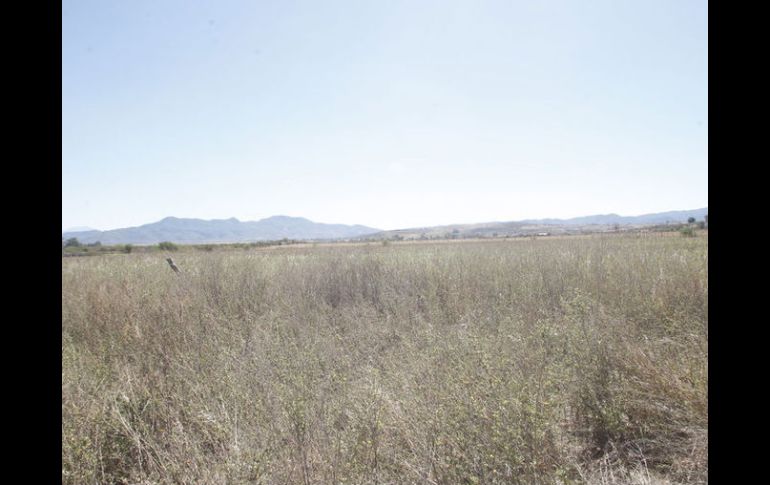 Las escrituras del predio no han sido recibidas por Iprovipe y directivos desviaron 50 MDP que estaban destinados a esta adquisición. ARCHIVO /