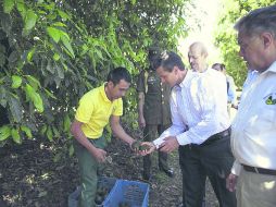 Enrique Peña Nieto tuvo un encuentro con aguacateros, a los que prometió combatir las extorsiones. EFE /