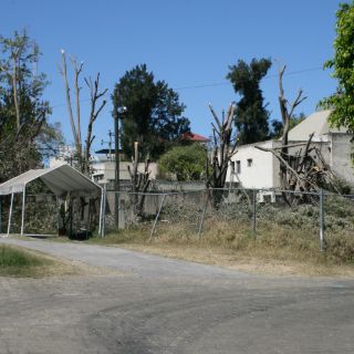 Multarán a particular por poda indiscriminada