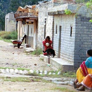 Mezquitic pide cambios a estrategia contra el hambre