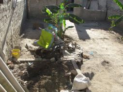 En un principio se especuló que podría haber más cuerpos, pero sólo resultó ser uno.  /