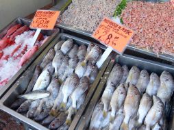 En caso de ingerir estos alimentos en mal estado, se corre el riesgo de contraer una intoxicación. ARCHIVO /