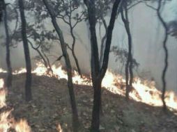 Imagen del incendio en el Cerro del Tepopote. @ZapopanGobierno. ESPECIAL /